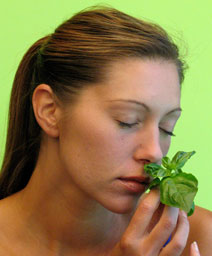 smelling mint